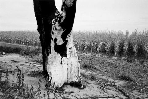 Horse Creek Treaty Grounds, 1987. Drex Brooks photo.