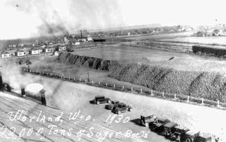 2,200 tons of sugar beets piled at Worland, 1920s. Wyoming State Archives.