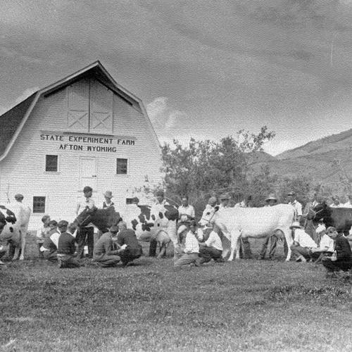 Future Star Valley farmers study dairy types at the state experiment farm substation, Afton, Wyoming, 1932. American Heritage Center, University of Wyoming. 