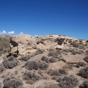 Panel 1 overview.  The view is to the east (Western Archaeological Services).