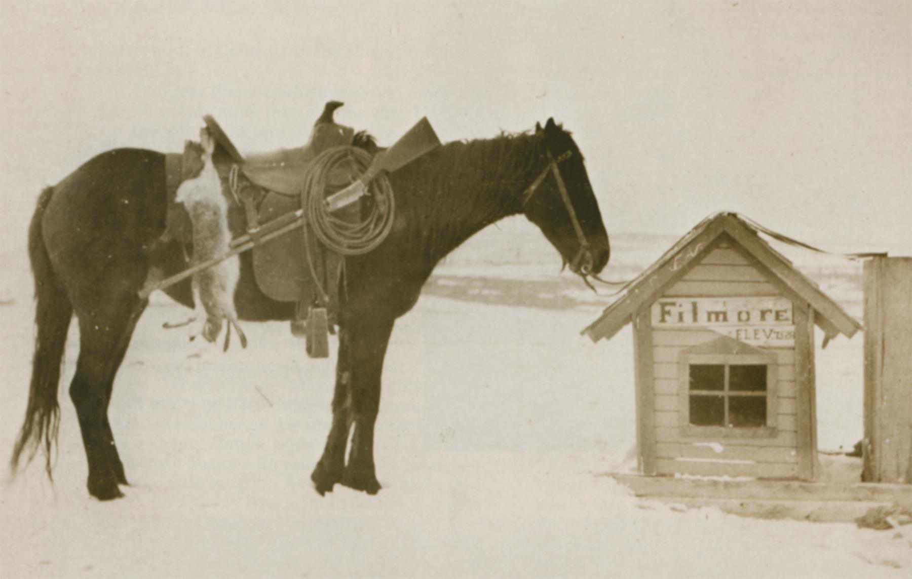 The little Filmore post office on the Wright family ranch west of Laramie, Wyo. Agnes Wright Spring referred to it as "The Dollhouse" when she was a young girl. American Heritage Center, University of Wyoming.