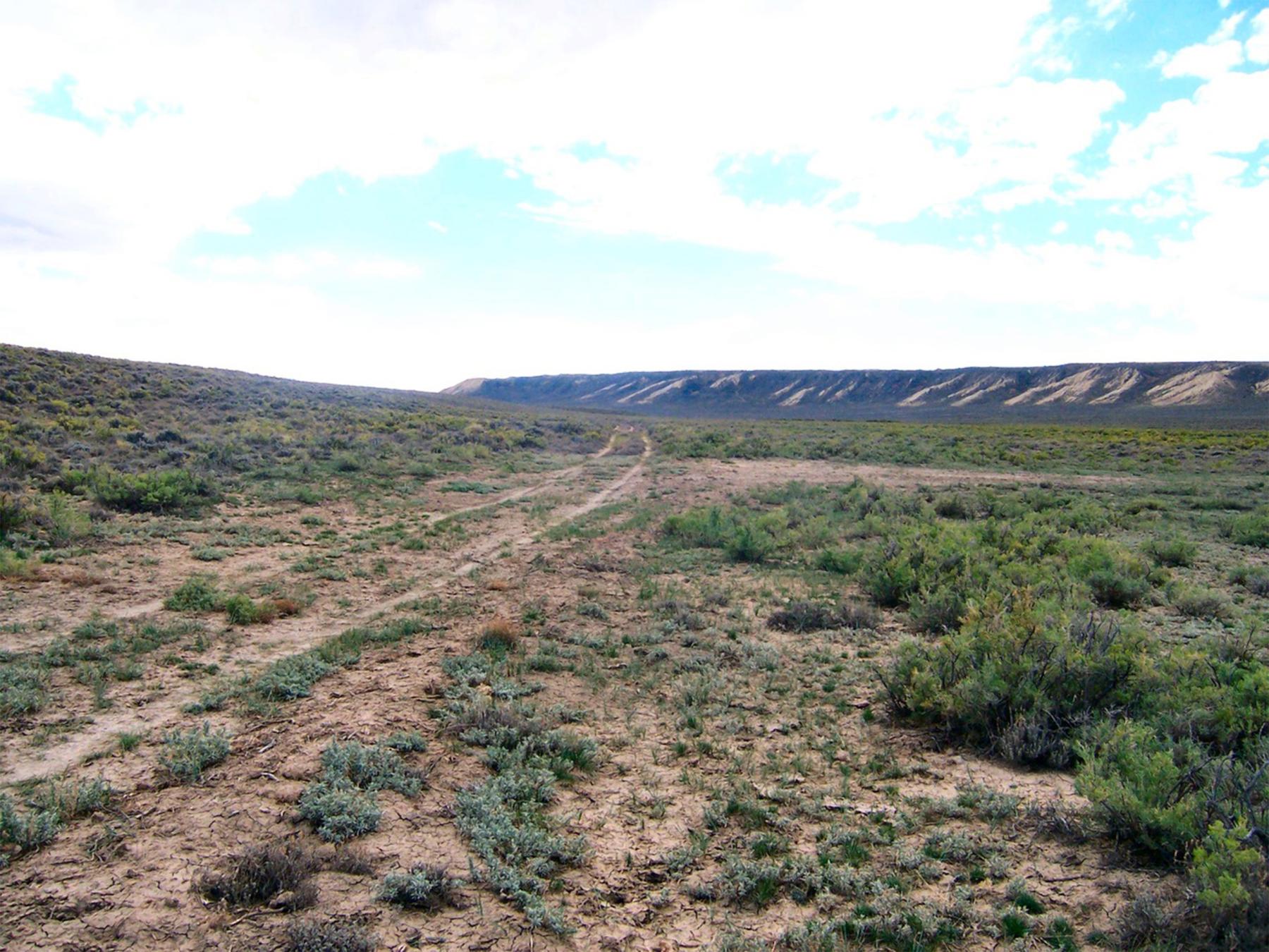 A view of the Rawlins to Baggs Wagon Road today. Western Archaeological Services.