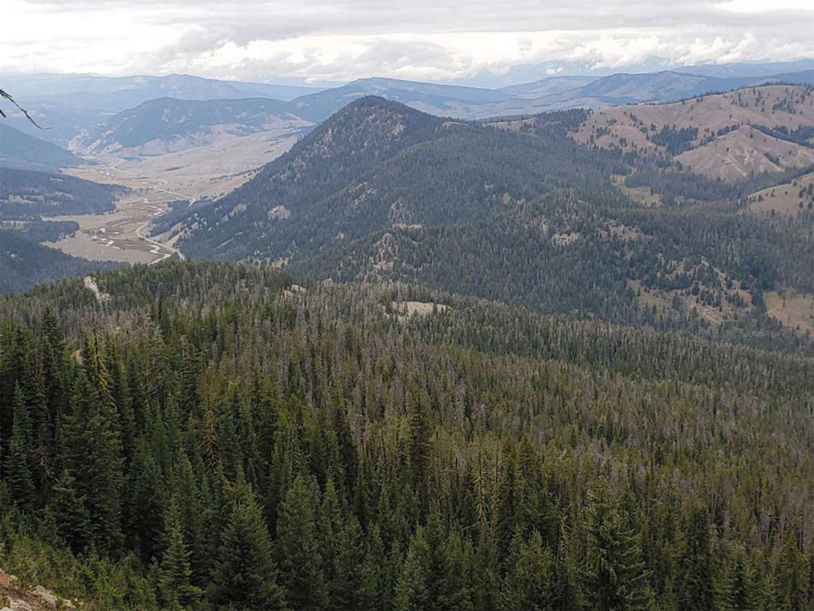 The view from the northwest corner of Wyoming today, looking northwest into Montana down the Gallatin River and U.S. Hwy 191. The Richards party reached here in late August 1874.  The log they left to mark the spot was still standing when other surveyors visited in 1958.  Cody Schatz photo. 