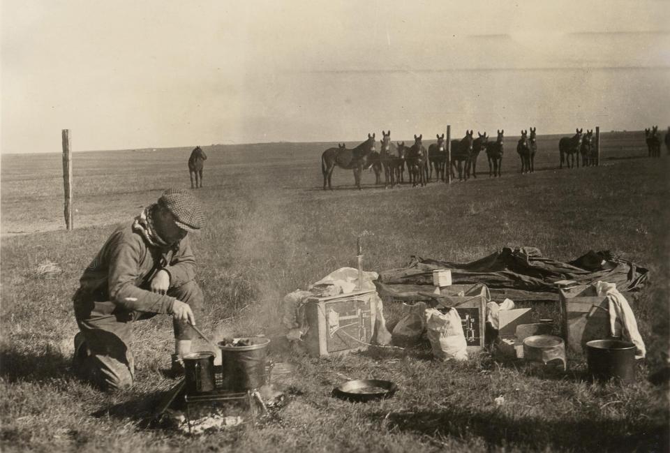 A man in a wool cap cooks food over a firepit in an open field. Camping equipment is on the ground to his left and a herd of mules looks on from behind a fence a little ways away.