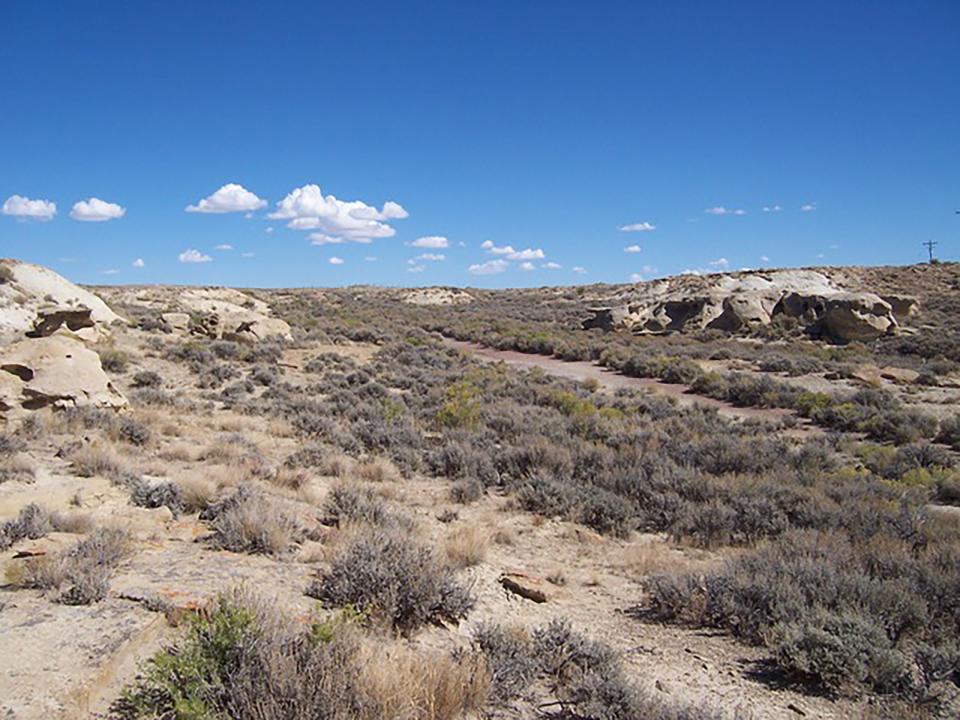 Open palin with sandstone outcroppings and gravel road; sagebrush and desert grasses blanke the ground