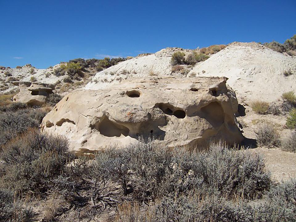 Panel 3 overview.  The view is the west (Western Archaeological Services).