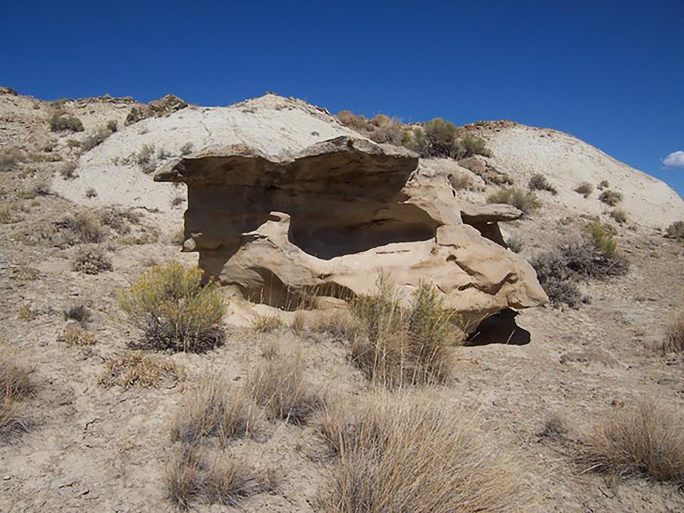 Panel 4 overview.  The view is to west (Western Archaeological Services).