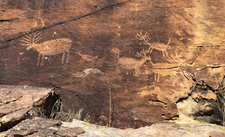 Rock art panel showing several antlered animals