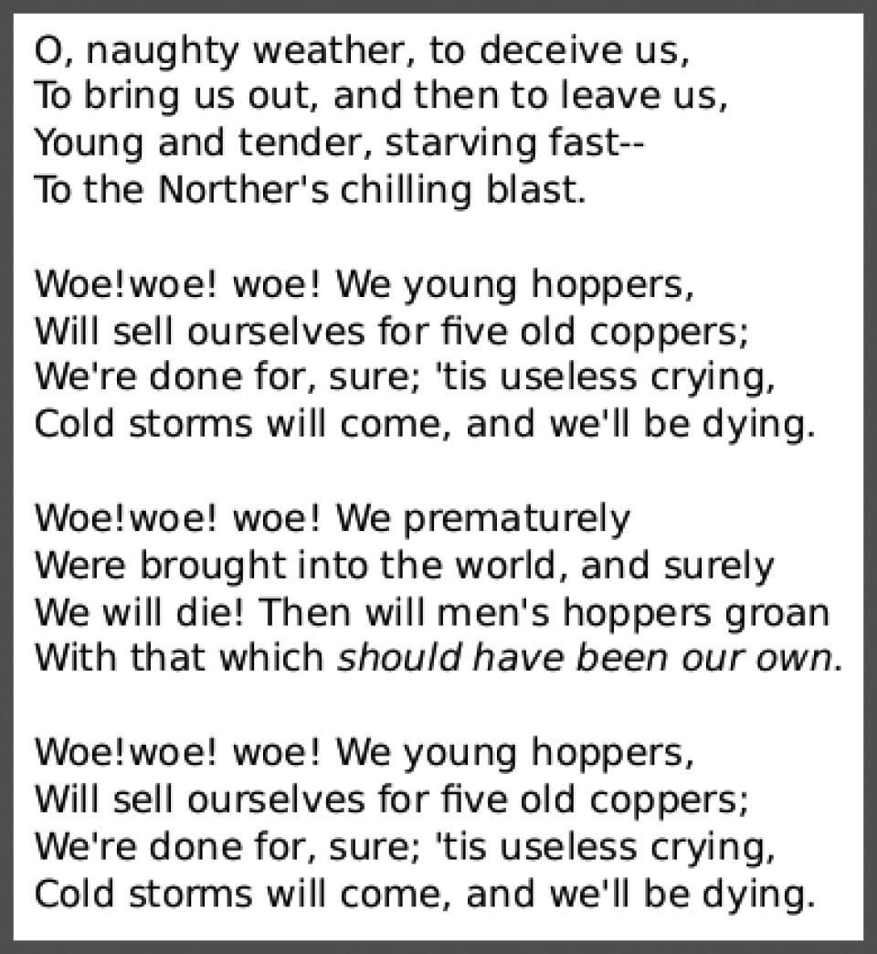 Poem with the refrain, "Woe! woe! woe! We young hoppers will sell ourselves for five old coppers; we're done for sure, 'tis useless crying. Cold storms will come, and we'll be dying."