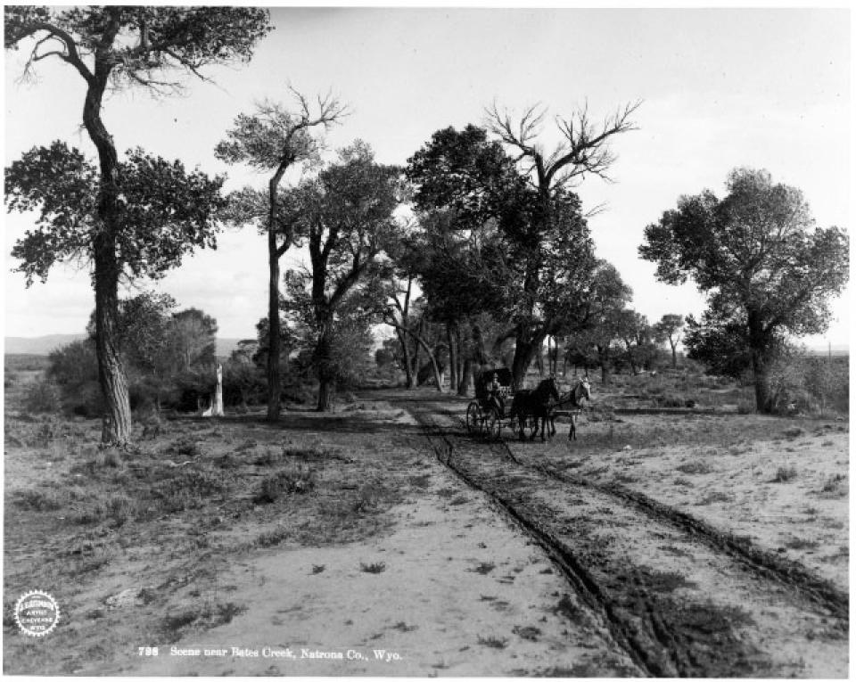 Stimson documented Wyoming farms, ranches, mines, mills, railroads and towns, but pleasant scenery always drew him back. This scene is near Bates Creek, Natrona County, 1903.